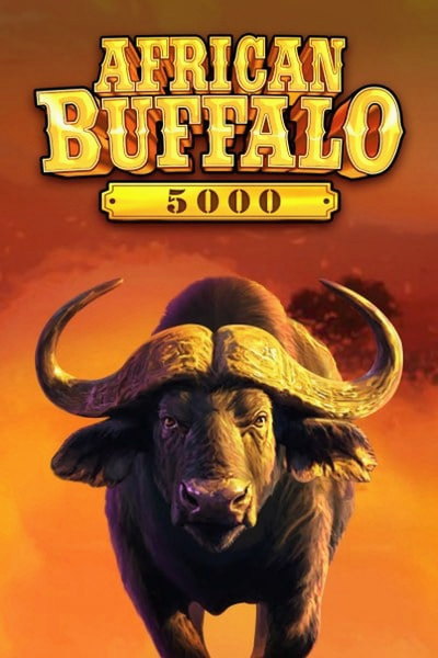 African Buffalo 5000 Slot bei Cleobetra Casino